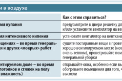 Избавление от плесени