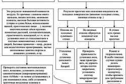 Решение проблем с плесенью