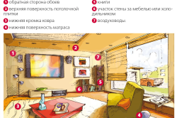 Места обитания плесени