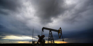 Источник рассказал, сколько сейчас стоит российская нефть