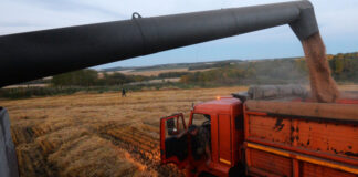 Путин и Эрдоган обсудили выполнение договоренностей по продуктовой сделке