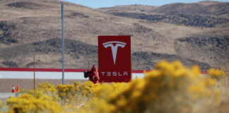 СМИ: Маск выбрал возможного преемника на посту гендиректора Tesla