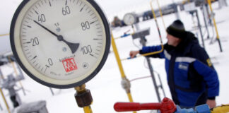 В Wintershall изучают указ Путина об ограничении покупки газа