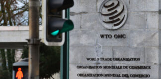 ВТО заявила о сохранении устойчивости мировой торговли