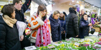 В Госдуме предложили запретить высокие цены на цветы перед 8 марта