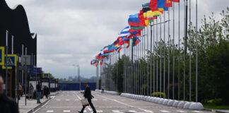 Тема рынка труда станет одной из ключевых на ПМЭФ, заявил Путин
