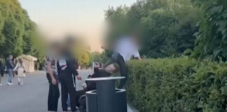 Напавшего на москвича в парке подростка отправили под арест