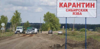 В Воронежской области из-за сибирской язвы госпитализированы два человека