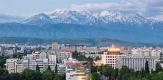 Как борются с «клопами» в Кыргызстане?