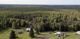 TNF-2023 дает вектор развития нефтегазовой отрасли России, заявил Моор
