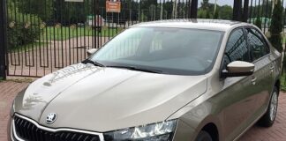 Аренда автомобиля: путь к новому уровню свободы