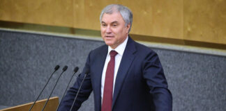 Володин высказался о совмещении политики и бизнеса