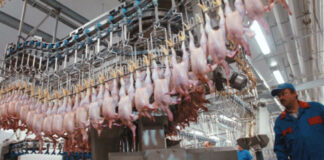 Минсельхоз ждет стабилизацию цен на продукцию птицеводства