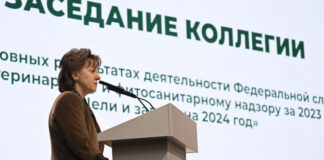Цифровое оформление при вывозе зерна запустят на «Моем экспорте»