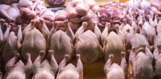 Россияне стали есть меньше курицы