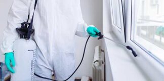 Дезинсекция квартир в Москве: как избавиться от тараканов