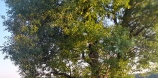 Производство понтонов из пластиковых гофрированных труб