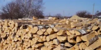 Какие дрова купить для печи в СПб: береза, сосна или дуб?